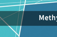 甲基纤维素的基本信息 methyl