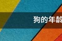 一只狗养了六年是多少？ 狗狗年龄怎么算