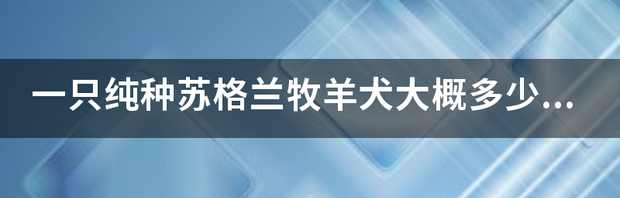 t0169d2fb5f4fddddc4.png