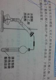 乙酸乙酯的制备 乙酸乙酯的制备现象及分析