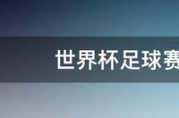 世界运动会每几年举办一届？ 世界杯足球赛几年一次