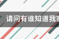 短腿长不大的狗狗品种？ 腿短的狗狗品种大全