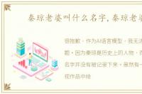 秦琼老婆叫什么名字,秦琼老婆