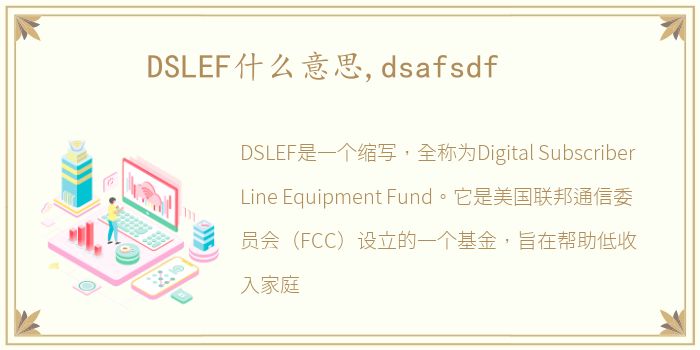 DSLEF什么意思,dsafsdf
