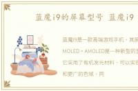 蓝魔i9的屏幕型号 蓝魔i9