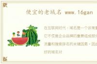 便宜的老域名 www.16gan