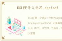 DSLEF什么意思,dsafsdf