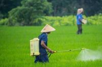 多抗霉素不能和哪些农药混用？ 多抗霉素