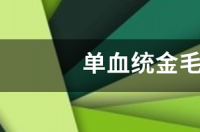 金毛幼犬价格？ 单血统的金毛700块贵不