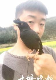 《八哥学舌》这个故事告诉我们什么？ 八哥学舌的道理