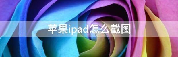 t01321ed8d80c93344e.jpg