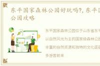 东平国家森林公园好玩吗?,东平国家森林公园攻略
