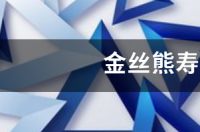 金丝熊长大后多大？ 金丝熊寿命对照表