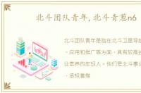 北斗团队青年,北斗青葱n6