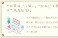西汉最后一位猛人,“犯我强汉者,虽远必诛”就是他说的