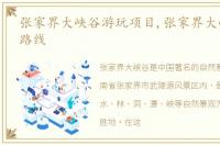 张家界大峡谷游玩项目,张家界大峡谷游玩路线
