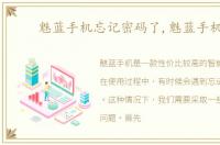 魅蓝手机忘记密码了,魅蓝手机2
