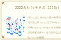 2222表达的啥意思,2222bi