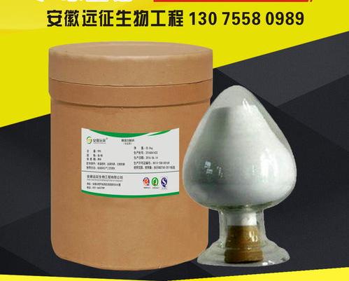 101b62209fa03a17