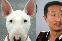 “颜王”孙红雷神似牛头梗，在娱乐圈火了这么久，不是没道理的，这是为何？ 牛头梗是哪个明星
