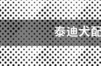 白色泰迪最贵有多么贵？ 泰迪配种价格
