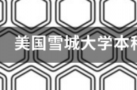 雪城大学可比中国的哪些大学 雪城大学学费为什么贵
