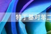 苯酚和对苯二酚哪个还原性高？ 对苯二酚是什么