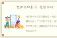 电桥品牌推荐,电桥品牌