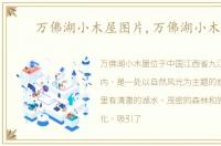 万佛湖小木屋图片,万佛湖小木屋