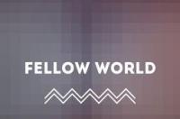 华为的fellow是什么人？ fellow