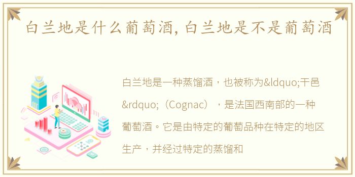 白兰地是什么葡萄酒,白兰地是不是葡萄酒
