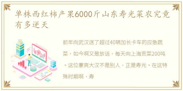 单株西红柿产果6000斤山东寿光菜农究竟有多逆天