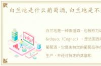 白兰地是什么葡萄酒,白兰地是不是葡萄酒
