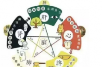 脏腑功能失调都有哪些症状