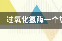 过氧化氢酶一个加号是什么意思？ 过氧化氢酶是什么
