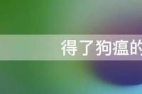 得了狗瘟的狗能活几天 狗瘟不治疗狗能活多久