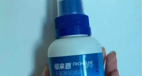 t019fc8f69b76f521b5.png