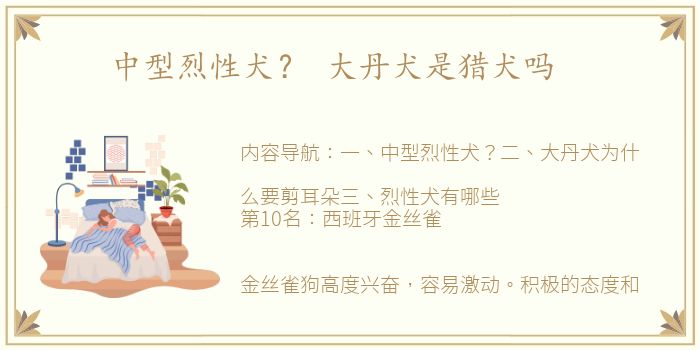 中型烈性犬？ 大丹犬是猎犬吗