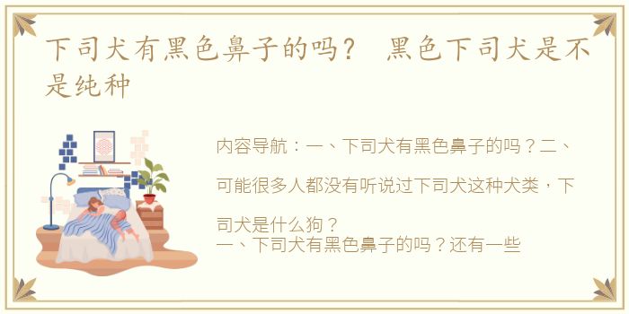 下司犬有黑色鼻子的吗？ 黑色下司犬是不是纯种