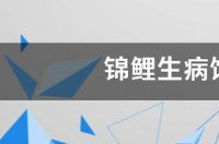锦鲤刚到家饲养方法？ 锦鲤的饲养方法