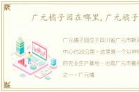 广元橘子园在哪里,广元橘子