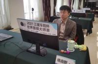2015全国围棋升段赛即时赛果 三星杯崔精胜杨鼎新