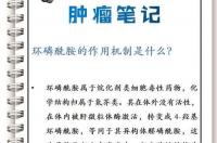 什么是IFO？ 环磷酰胺是什么药
