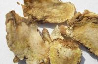 中药独活的功效和作用是哪些呢？ 细辛的功效与作用