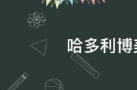 俊介是什么意思？ 哈多利