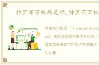 特里布万机场是哪,特里布万机场