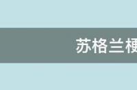 雪纳瑞好养还是边牧好养？ 梗犬好养吗
