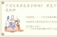 下司犬有黑色鼻子的吗？ 黑色下司犬是不是纯种