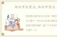 西安市区景点,西安市景点