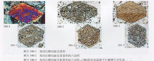 79825b7cd5efe27a